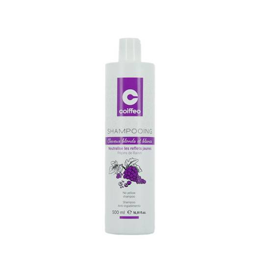 Shampooing déjaunisseur de la marque Coiffeo Contenance 500ml