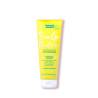 Shampooing apaisant & réparateur Scalp – antipelliculaire, hydrate, équilibre