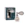 Spray poudre pailletée Silver Touch' – éclat argenté holographique