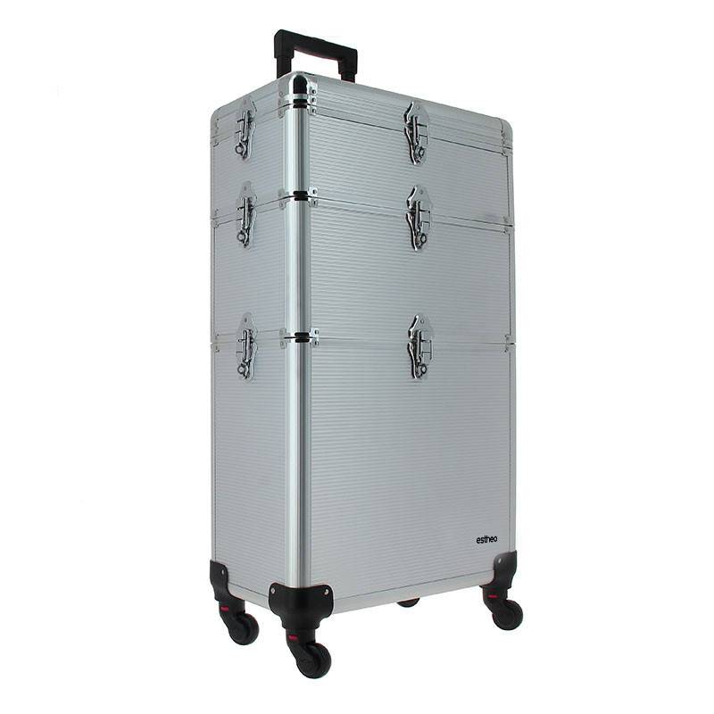 Valise professionnelle roulettes Argent Estheo