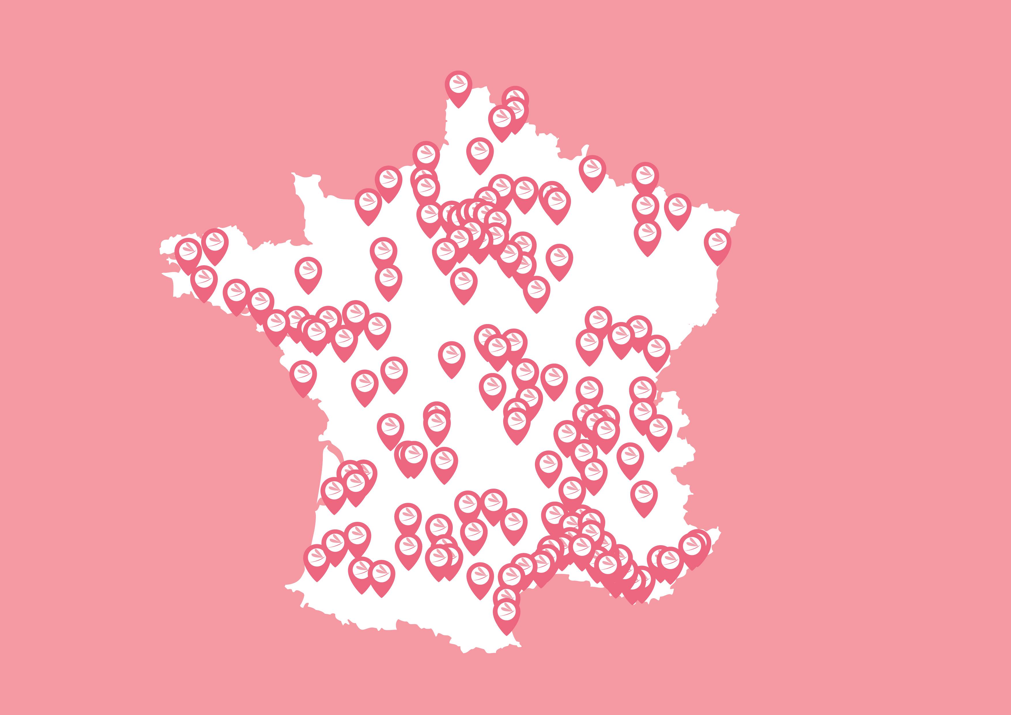 Réseau de franchises Bleu Libellule