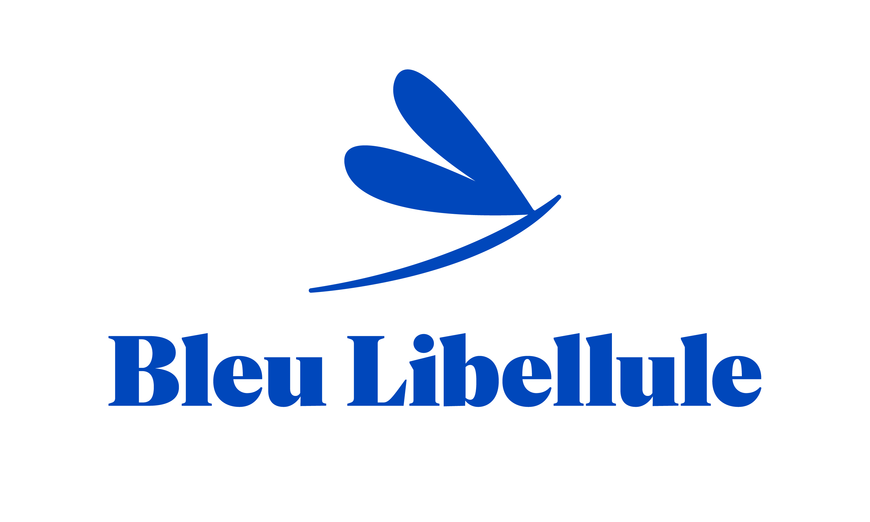Logo Bleu Libellule