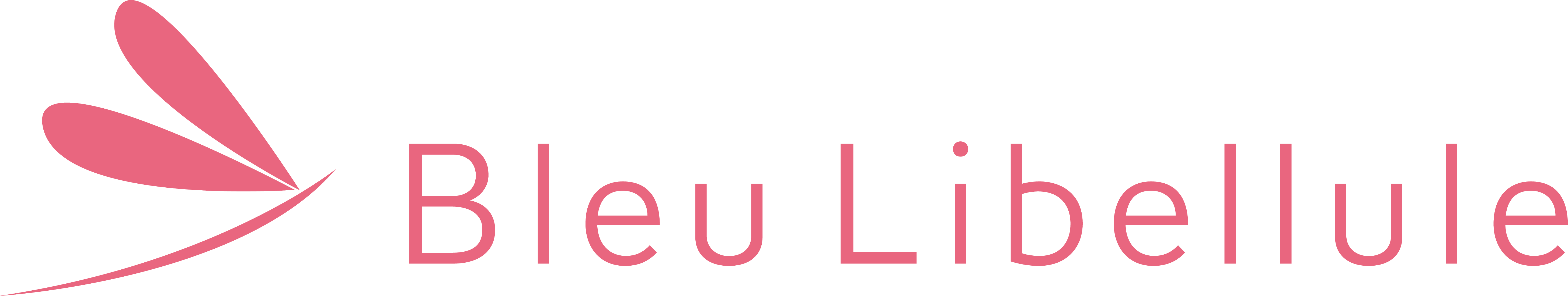 logo bleu libellule