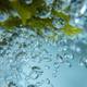 Shampoing marin aux algues Ocean Therapy - Étape 3 de la marque Urban Keratin Contenance 400ml - 2