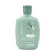 Shampooing délicat équilibrant Scalp Rebalance - 1 Shampooing délicat équilibrant Scalp Rebalance de la marque Alfaparf Milano Contenance 250ml - 1