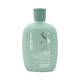 Shampooing délicat purifiant Scalp Rebalance - 1 Shampooing délicat purifiant Scalp Rebalance de la marque Alfaparf Milano Contenance 250ml - 1