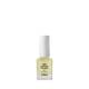 Huile ongles et cuticules - 1 Huile ongles et cuticules de la marque Estheo Contenance 11ml - 1