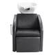 Bac de lavage accoudoirs concaves avec repose jambes ajustable 53x65x74 cm - 1 Bac de lavage accoudoirs concaves avec repose jambes ajustable 53x65x74 cm de la marque Coiffeo - 1