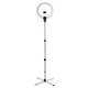 Lampe anneau Aura Ring - 1 Lampe anneau Aura Ring de la marque Daylight Company - 1