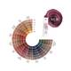Coloration créative temporaire Color Fresh Create de la marque Wella Professionals Gamme Color Fresh Create Contenance 60ml - 4