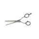 Ciseaux sculpteurs Argent 5.5 - 1 Ciseaux sculpteurs Argent 5.5 de la marque Coiffeo - 1